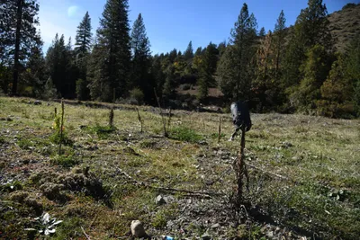 DSC_6506 (Large).JPG